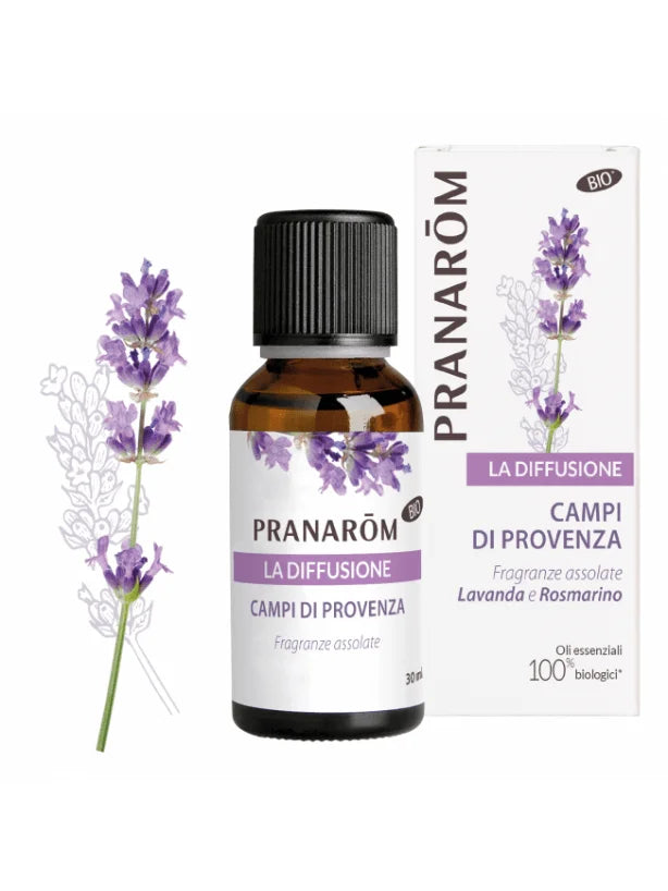 Campi di Provenza - La Diffusione