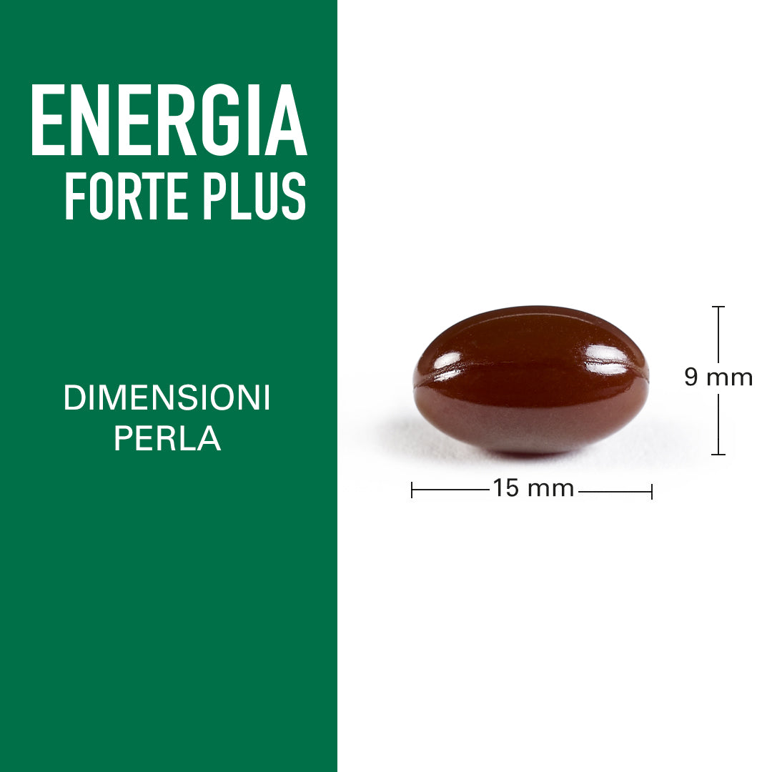 Energia Forte Plus