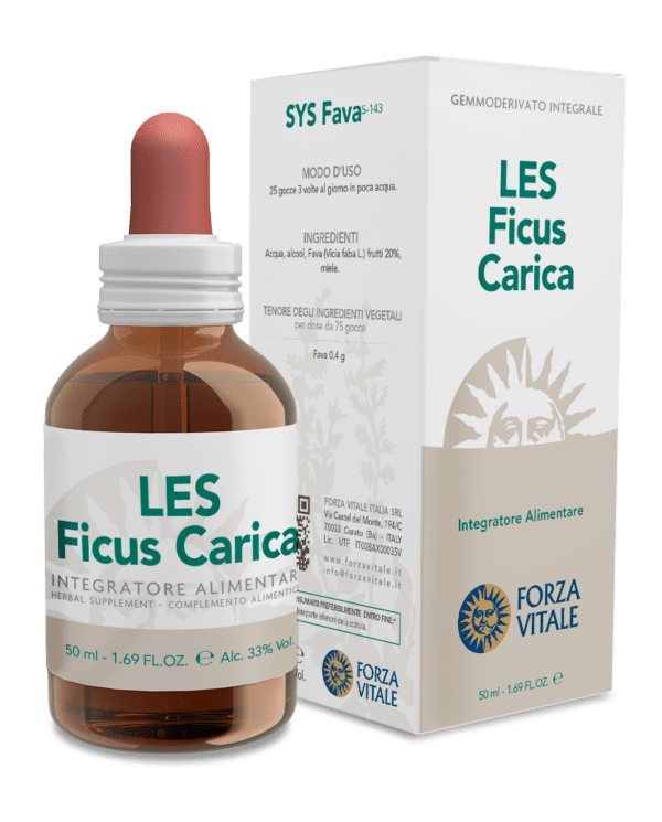 LES Ficus Carica