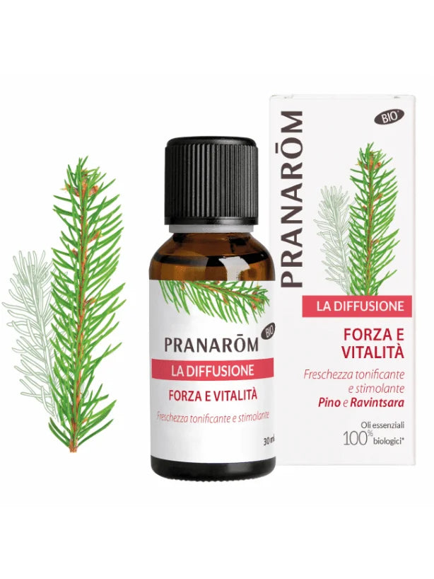 Forza e Vitalità - La Diffusione