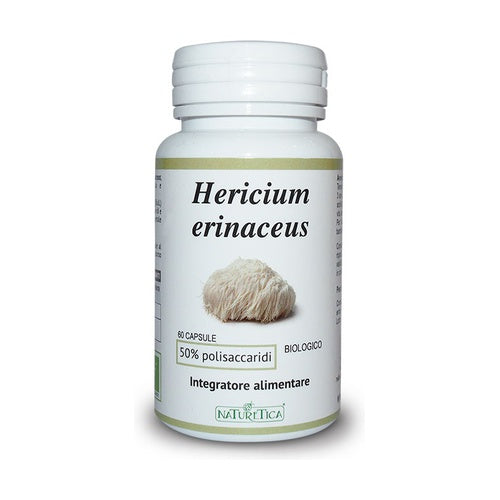 Hericium Erinaceus