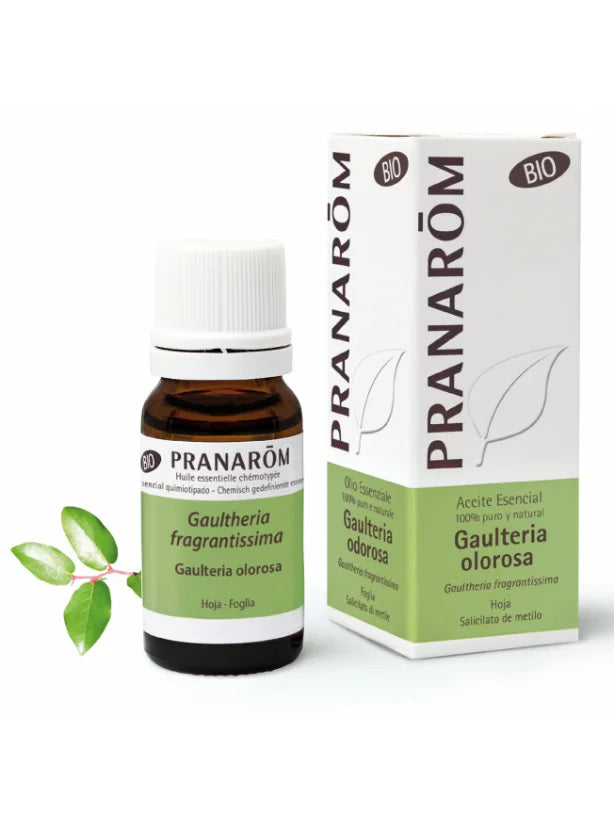Olio essenziale di Gaulteria Odorosa Bio - 10ml
