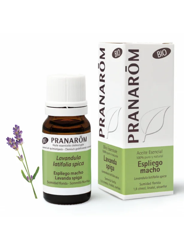 Olio essenziale di Lavanda Spigo Bio - 10ml
