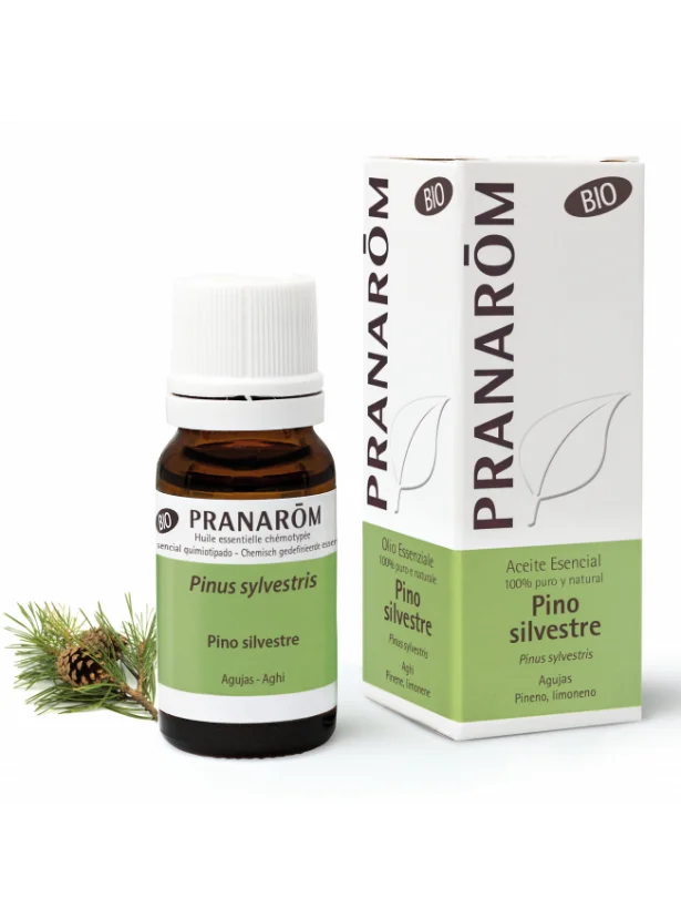 Olio essenziale di Pino Silvestre Bio - 10ml