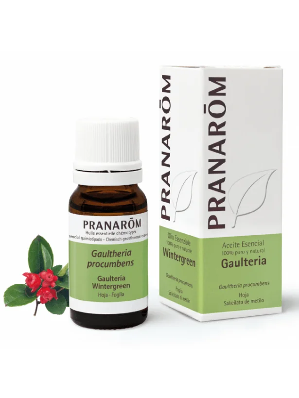 Olio essenziale di Wintergreen (Gaulteria procumbens) – 10ml