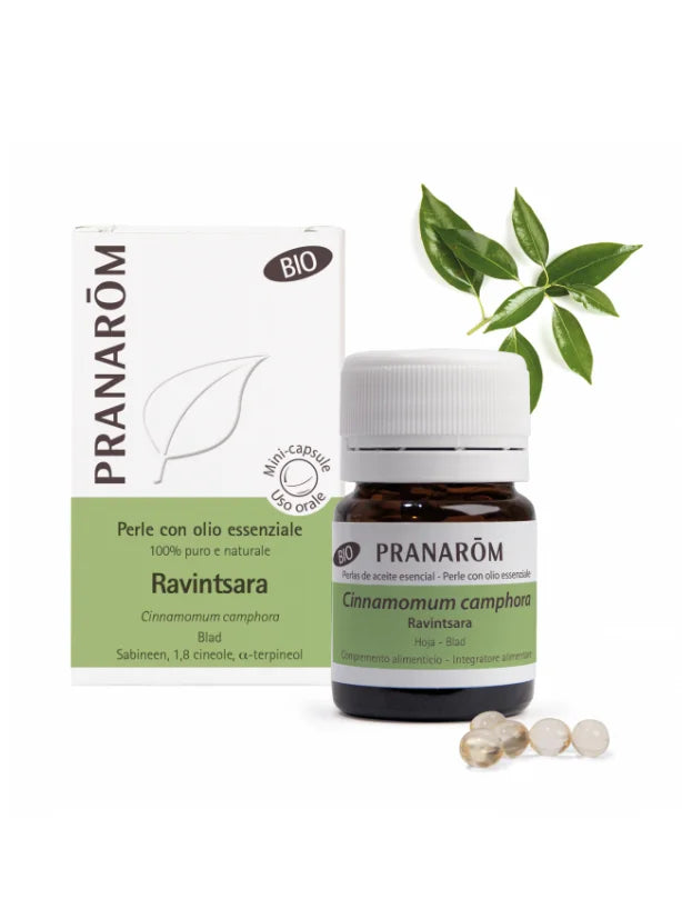 Olio essenziale di Ravintsara – 60 Mini-capsule