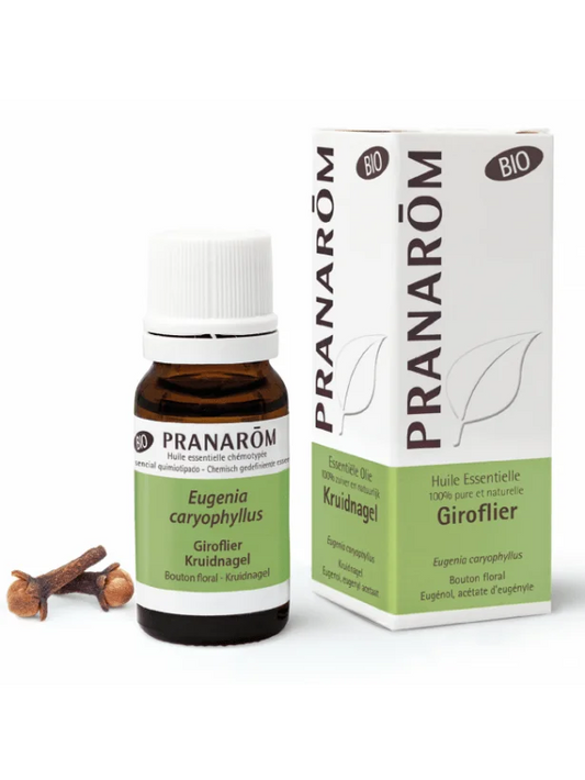 Olio essenziale di Chiodi di garofano Bio – 10ml