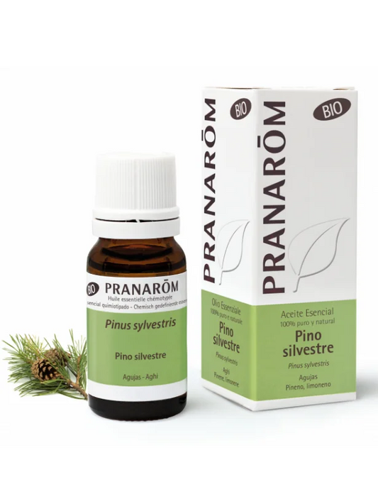 Olio essenziale di Pino Silvestre Bio - 10ml