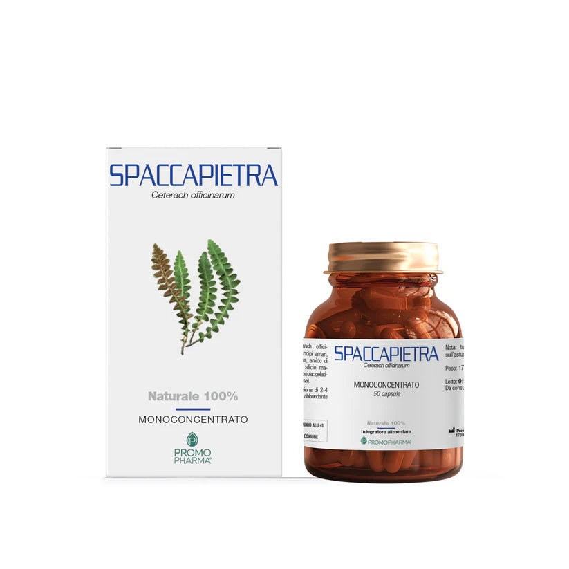 Spaccapietra Monoconcentrato