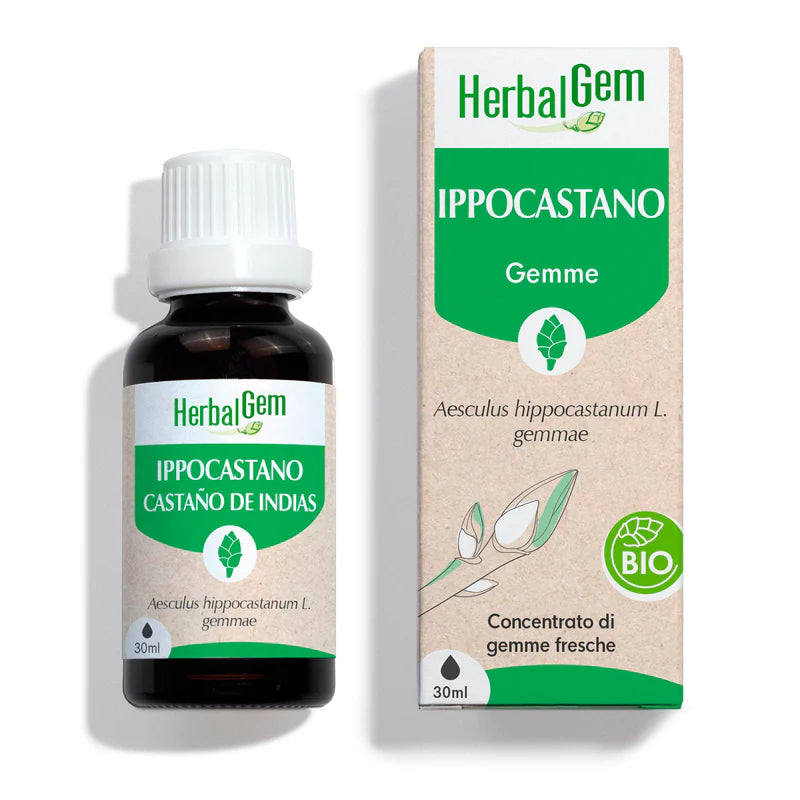 Ippocastano - Gemmoderivato