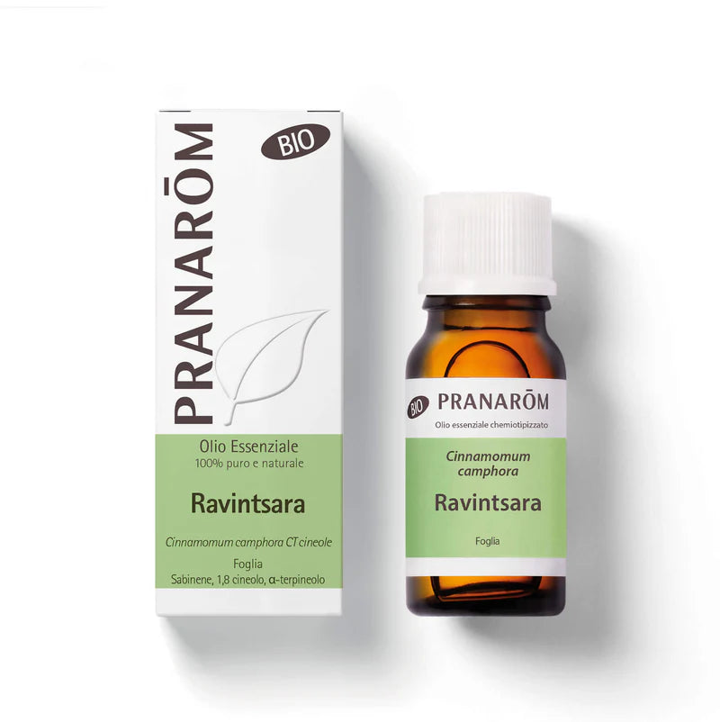 Olio Essenziale di Ravintsara Bio - 10ml